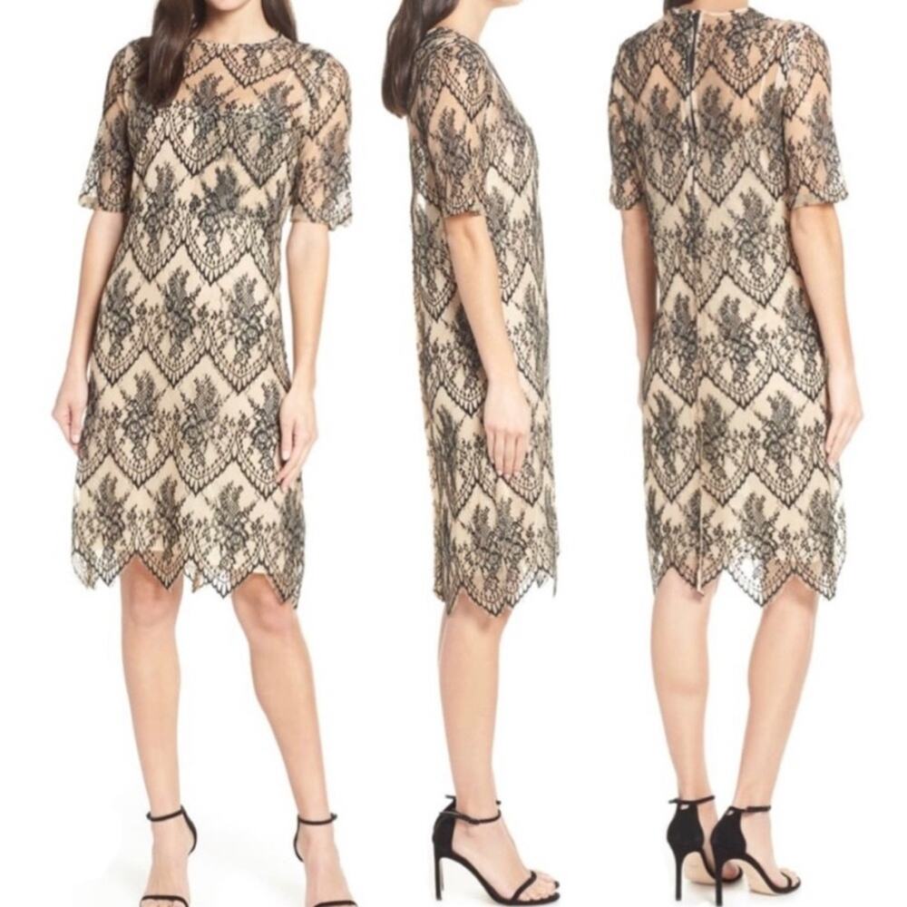 CAARA Scalloped Lace Nude Black Shift Cocktail Dress Small